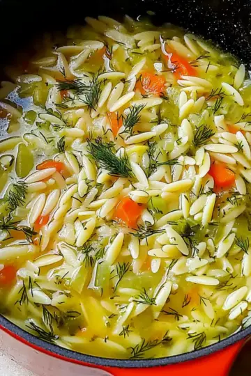 Orzo, Leek and Dill Soup