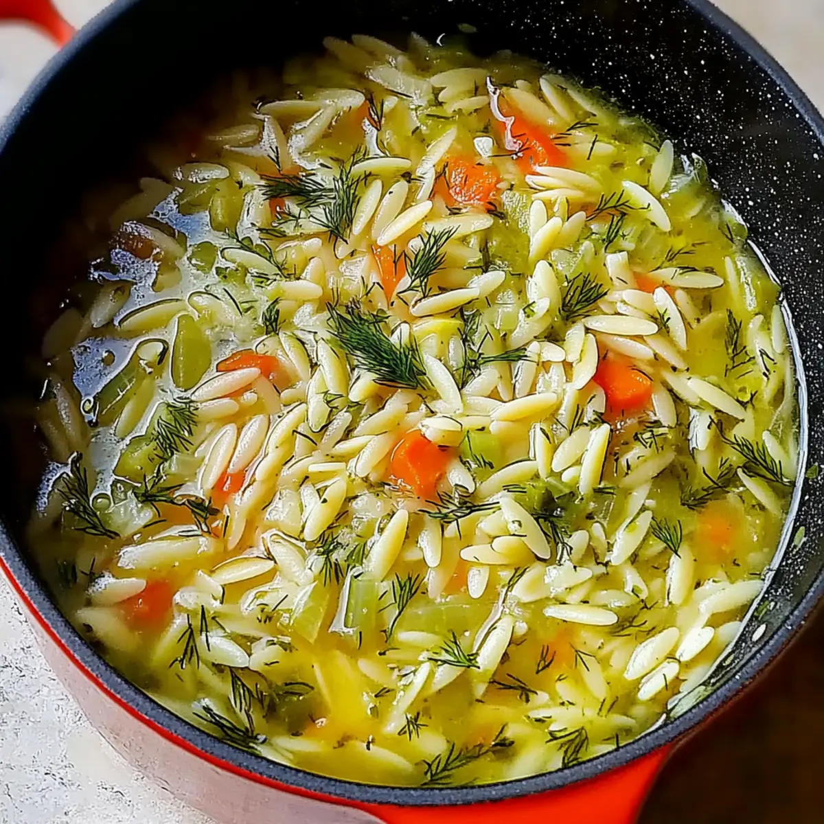 Orzo, Leek and Dill Soup